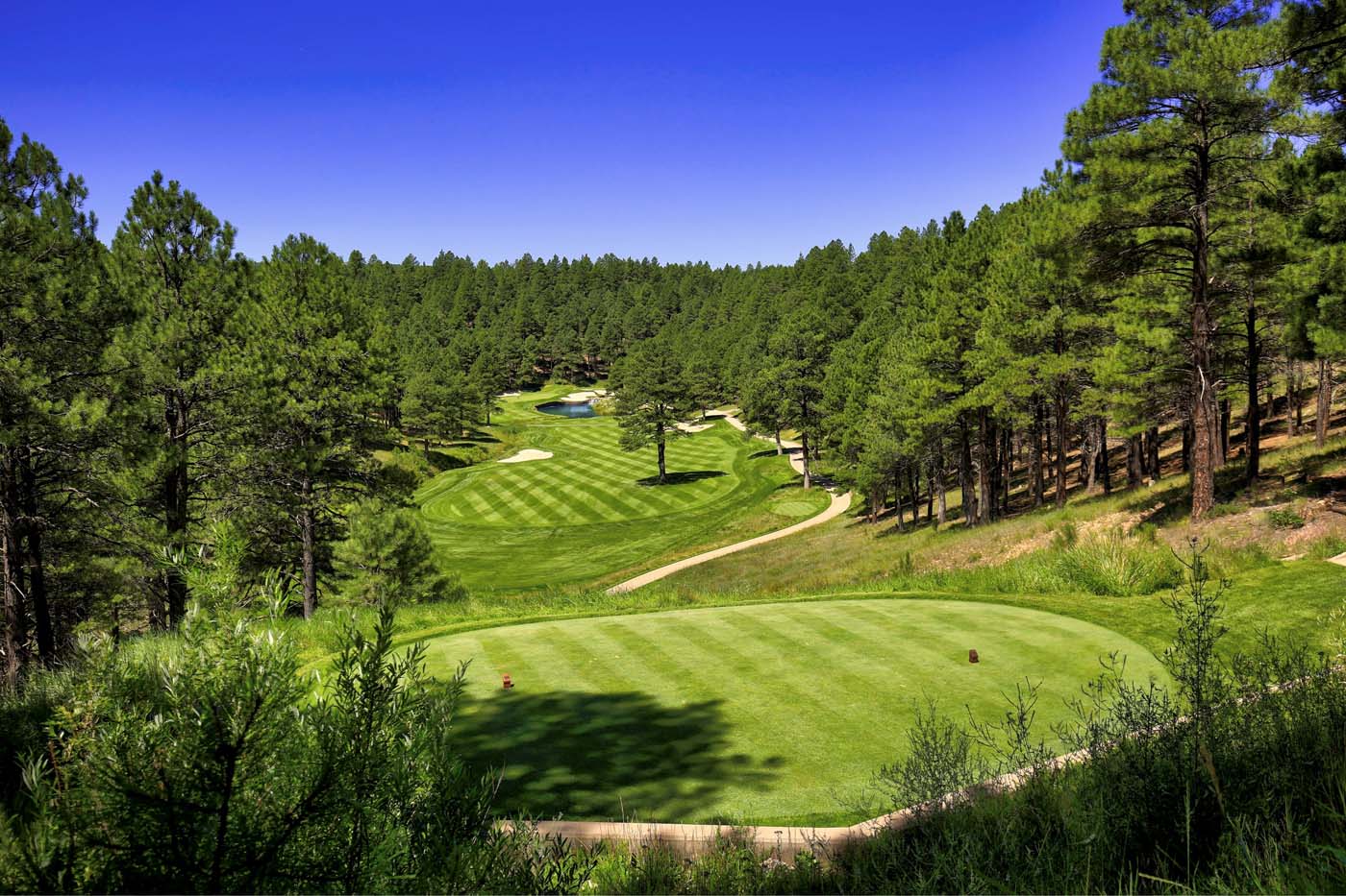 Forest Highlands 8th Hole