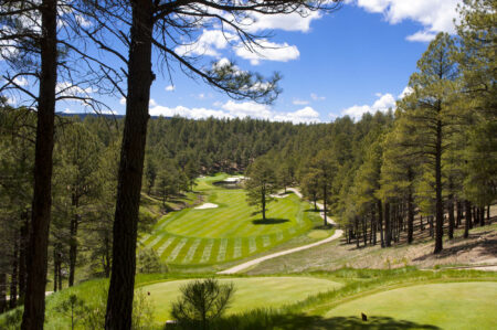 Photo of Forest Highlands