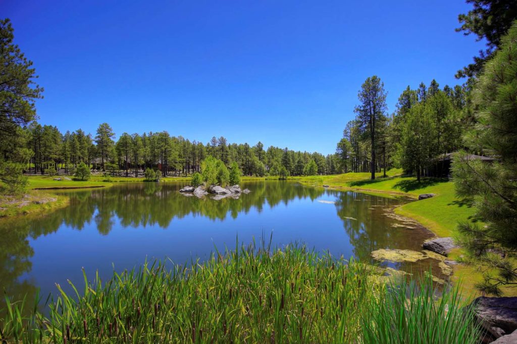 Forest Highlands Pond 2